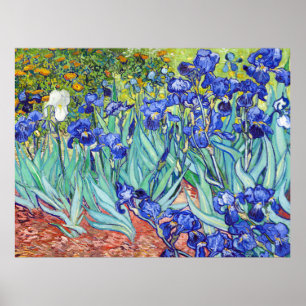 Vincent Van Gogh schilderij Irissen Poster