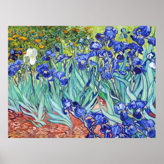 Vincent Van Gogh schilderij Irissen Poster (Voorkant)