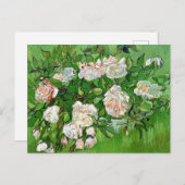 Vincent Van Gogh schilderij, stilstaande levensroz Briefkaart (Voorkant / Achterkant)