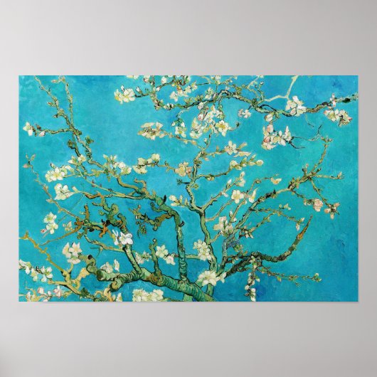 Vincent Van Gogh schildert Amandelbloesem Poster (Voorkant)