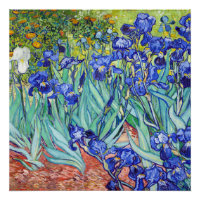 Vincent Van Gogh schildert Irissen