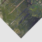 Vincent van Gogh - Sloping Path in Montmartre Tissuepapier (Detail)