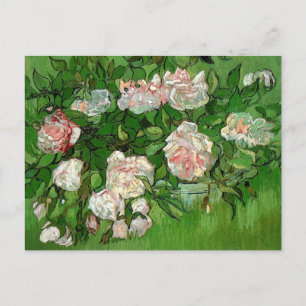 Vincent Van Gogh - stilstaande levensroze roses Fi Briefkaart