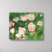 Vincent Van Gogh - stilstaande levensroze roses Fi Canvas Afdruk (Voorkant)