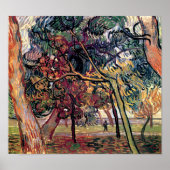 Vincent van Gogh - Studie naar Pine Trees Fine Art Poster (Voorkant)