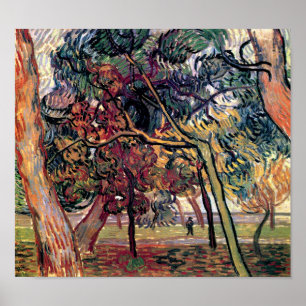 Vincent Van Gogh - Studie van pijnbomen Kunstwerk Poster