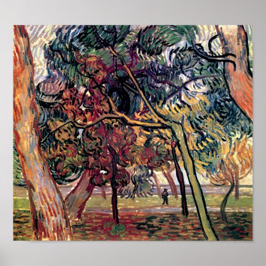 Vincent Van Gogh - Studie van pijnbomen Kunstwerk Poster (Voorkant)