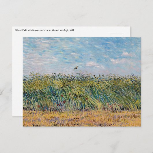 Vincent van Gogh - Tarweveld met een leeuwerik Briefkaart (Voorkant / Achterkant)