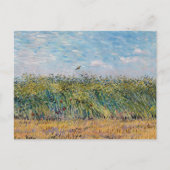 Vincent van Gogh - Tarweveld met een leeuwerik Briefkaart (Voorkant)