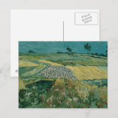 Vincent van Gogh - The Plain of Auvers Briefkaart (Voorkant / Achterkant)
