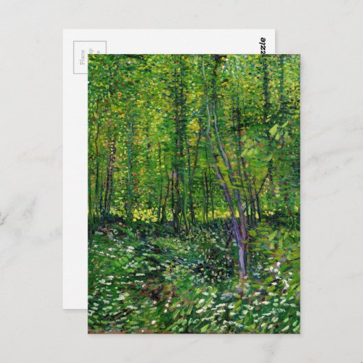 Vincent van Gogh Trees en ondergroei Briefkaart (Voorkant / Achterkant)