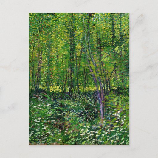 Vincent van Gogh Trees en ondergroei Briefkaart (Voorkant)