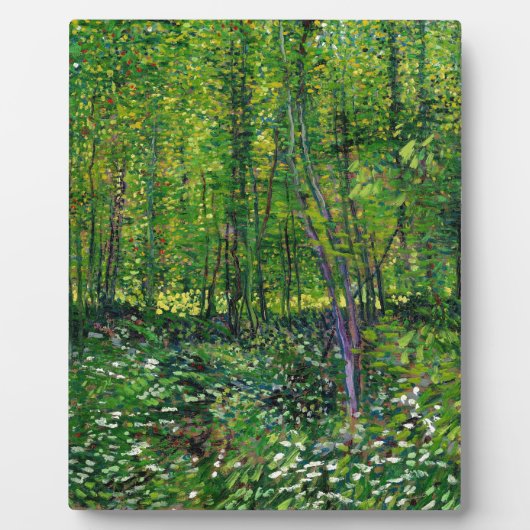Vincent van Gogh Trees en ondergroei Fotoplaat (Voorkant)