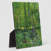 Vincent van Gogh Trees en ondergroei Fotoplaat (Zijkant)