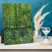 Vincent van Gogh Trees en ondergroei Fotoplaat (Zijkant)