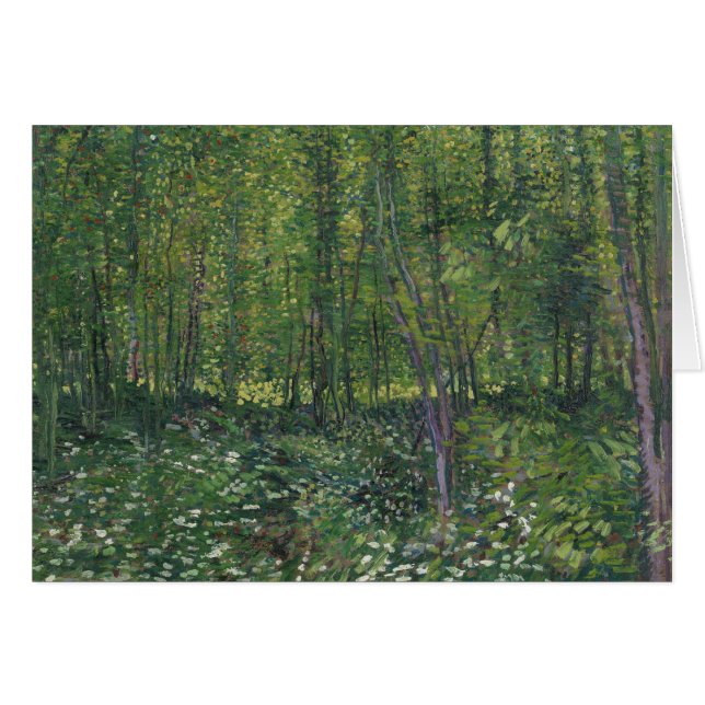 Vincent van Gogh - Trees en Undergrowth (Voorkant Horizontaal)