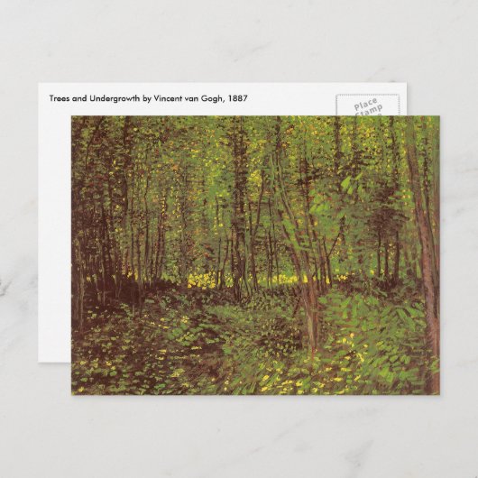 Vincent van Gogh - Trees en Undergrowth Briefkaart (Voorkant / Achterkant)