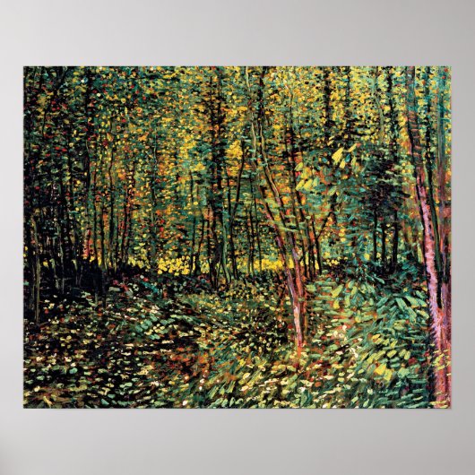 Vincent van Gogh - Trees en undergrowth Fine Art Poster (Voorkant)