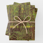 Vincent van Gogh - Trees en Undergrowth Inpakpapier Vel (In situ)