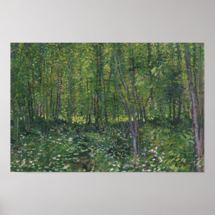 Vincent van Gogh - Trees en Undergrowth Poster