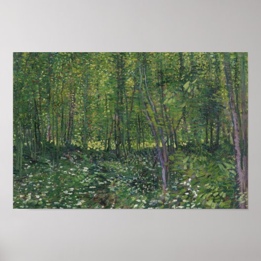 Vincent van Gogh - Trees en Undergrowth Poster (Voorkant)