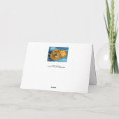 Vincent van Gogh - Two Cut Sunflower Kaart (Achterkant)