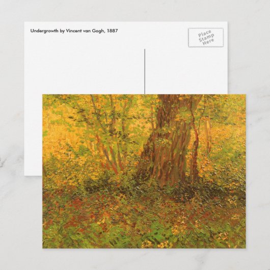 Vincent van Gogh - Undergrowth Briefkaart (Voorkant / Achterkant)