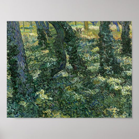 Vincent van Gogh - Undergrowth Poster (Voorkant)