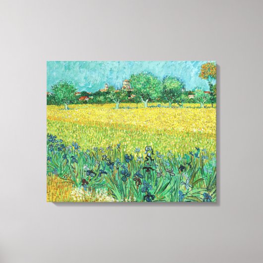 Vincent van Gogh - Veld met irissen bij Arles Canvas Afdruk (Voorkant)