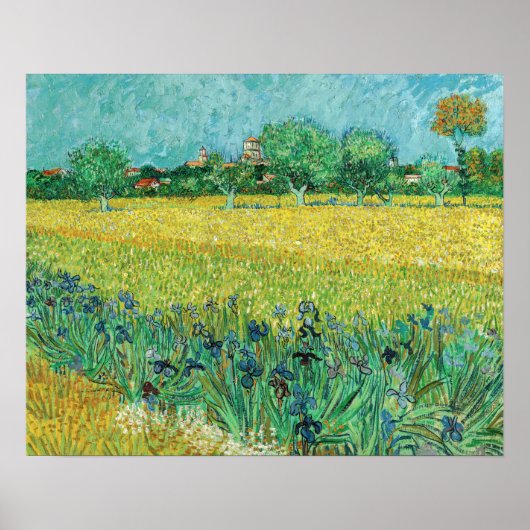 Vincent van Gogh - Veld met irissen bij Arles Poster (Voorkant)