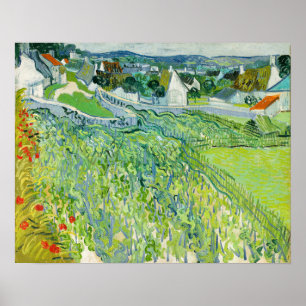 Vincent van Gogh - Vineyards bij Auvers Poster