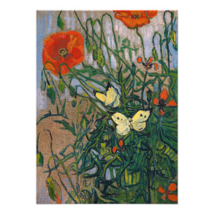 Vincent van Gogh - Vlinders en Klaprozen Foto Afdruk