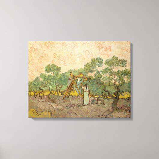 Vincent van Gogh - Vrouwen die olijven plukken Canvas Afdruk (Voorkant)