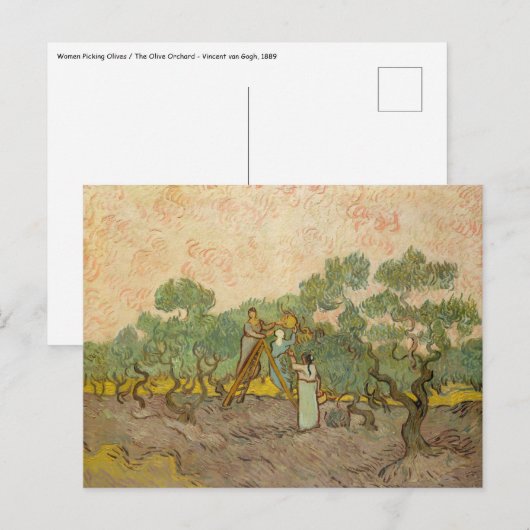 Vincent van Gogh - Vrouwen die Olijven schoppen Briefkaart (Voorkant / Achterkant)