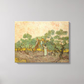 Vincent van Gogh - Vrouwen die Olijven schoppen Canvas Afdruk (Voorkant)