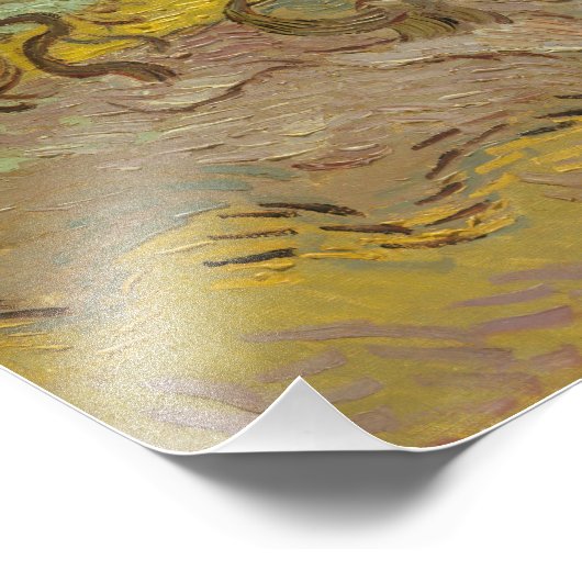 Vincent van Gogh - Vrouwen die Olijven schoppen Foto Afdruk (Hoek)