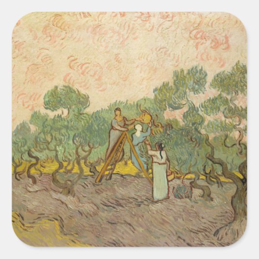 Vincent van Gogh - Vrouwen die Olijven schoppen Vierkante Sticker (Voorkant)