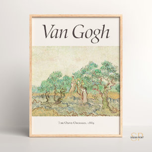 Vincent van Gogh Vrouwen Olijven plukken Kunst Pri Poster