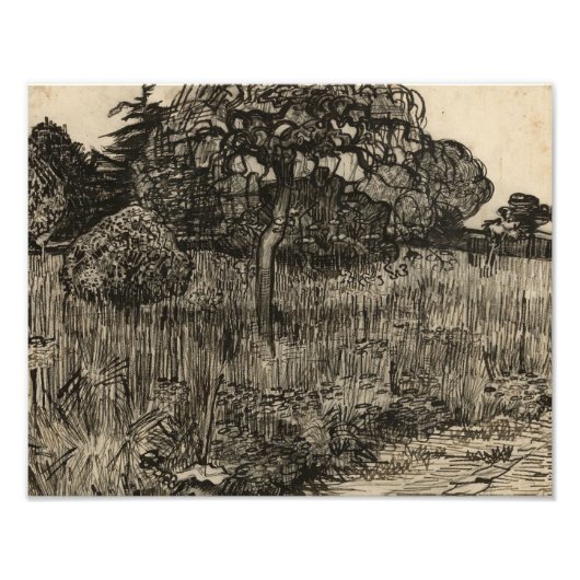 Vincent van Gogh - Weepboom Foto Afdruk (Voorkant)