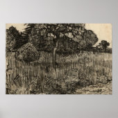 Vincent van Gogh - Weepboom Poster (Voorkant)