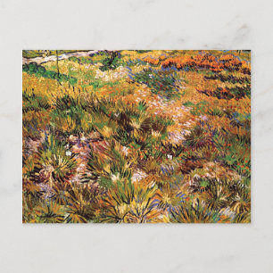 Vincent Van Gogh - Weiland in de tuin Kunstschilde Briefkaart