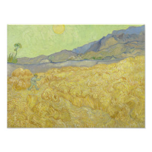 Vincent van Gogh - Wheatfield met een Reaper Foto Afdruk