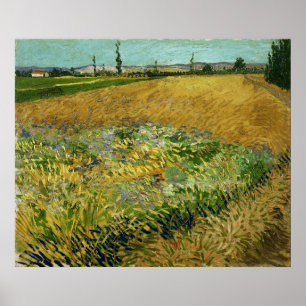 Vincent Van Gogh  Wheatfield Poster