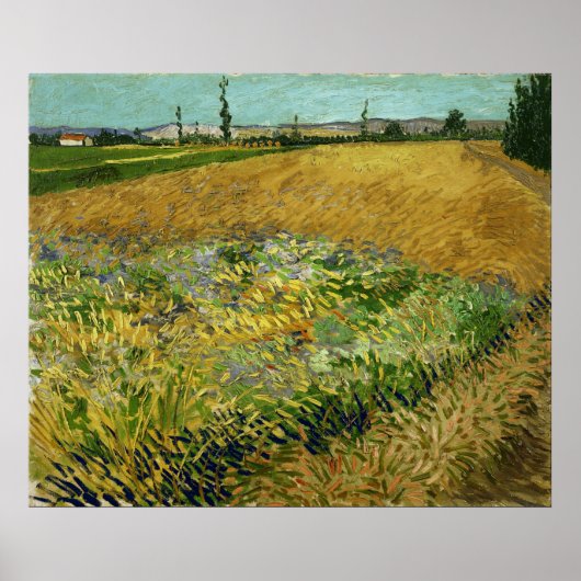 Vincent Van Gogh  Wheatfield Poster (Voorkant)