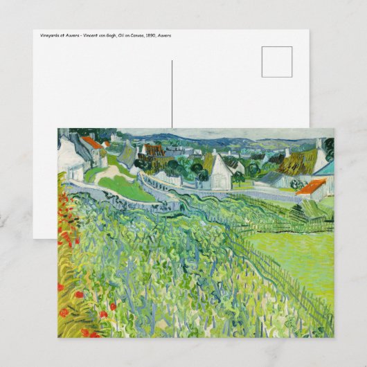 Vincent van Gogh - Wijngaarden bij Auvers Briefkaart (Voorkant / Achterkant)