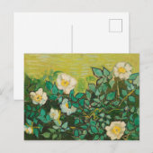 Vincent Van Gogh Wild Rozen Fine Art Briefkaart (Voorkant / Achterkant)