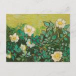 Vincent Van Gogh Wild Rozen Fine Art Briefkaart<br><div class="desc">Vincent Van Gogh Wild Rozen Fine Art Briefkaart</div>