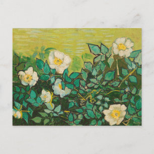 Vincent Van Gogh Wild Rozen Fine Art Briefkaart