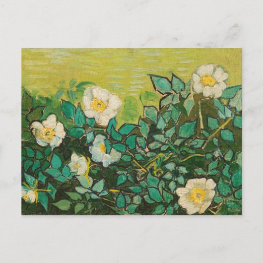 Vincent Van Gogh Wild Rozen Fine Art Briefkaart (Voorkant)