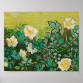Vincent Van Gogh Wild Rozen Fine Art Poster (Voorkant)